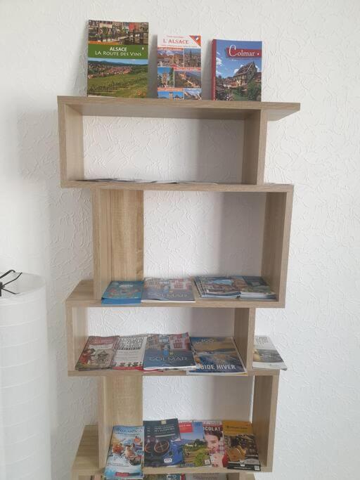 Le Nid Des Cigognes A Colmar Centre, Proche Gare, Marches De Noel Apartment Ngoại thất bức ảnh